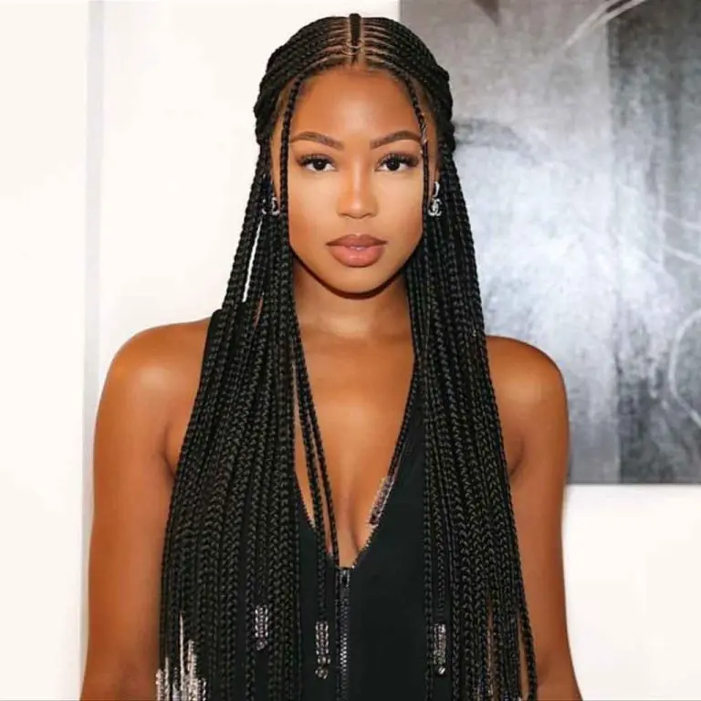Long Fulani Braids With Baby Braids and Beads