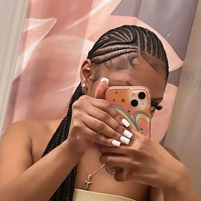 15. Zebra Fulani Braids With Ponytail