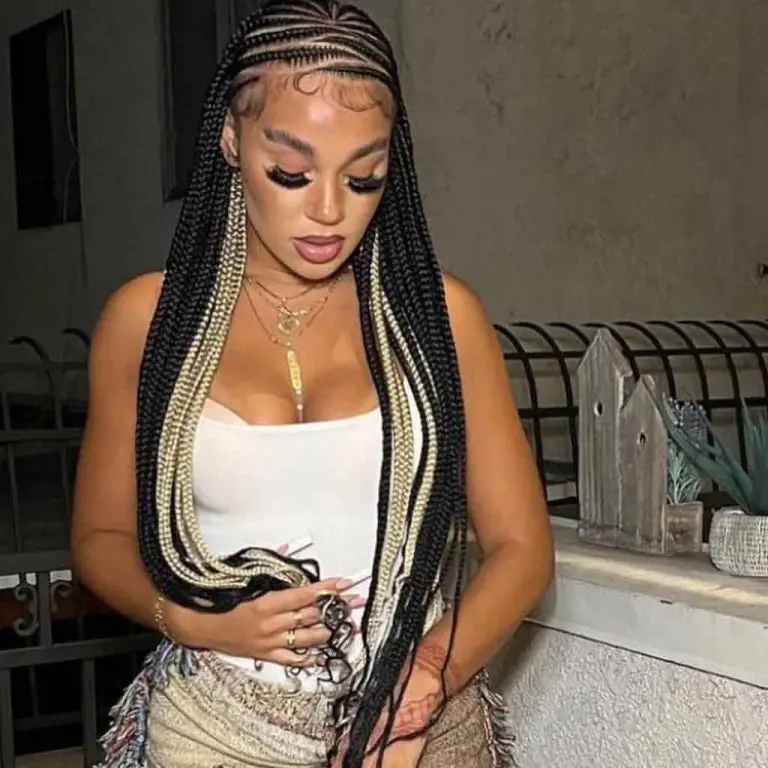 Blonde and Black Long Fulani Braids