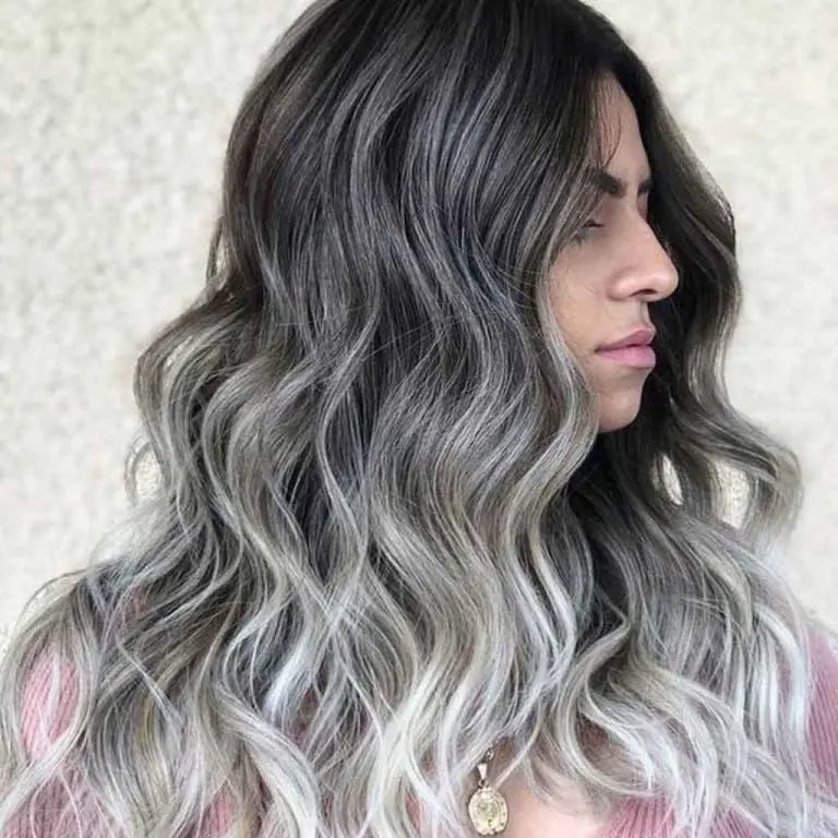 Long Wavy Black Hair With Silver Highlights