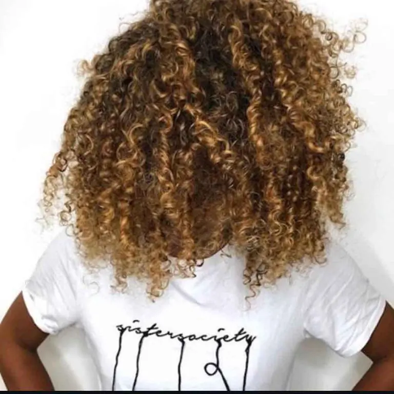 Curly Messy Hair With Caramel Highlights
