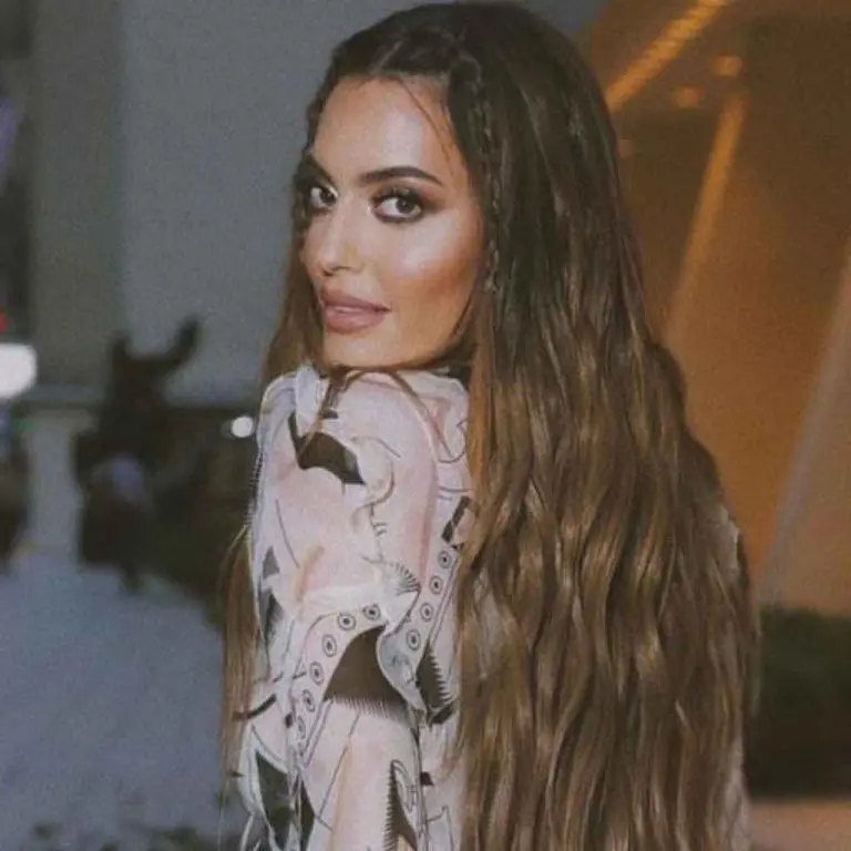 Long Brown Wavy Hair With Baby Braids