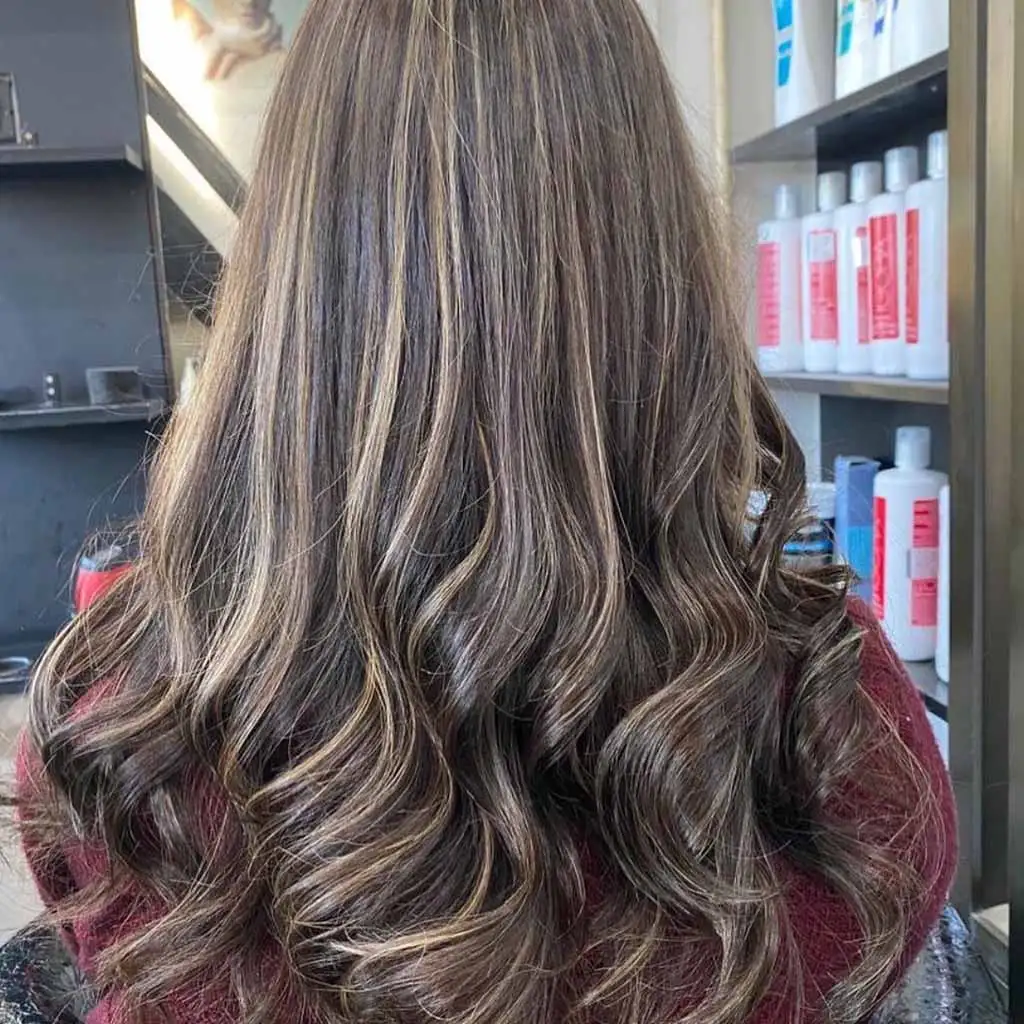 Honey Blonde Highlights on Dark Hair