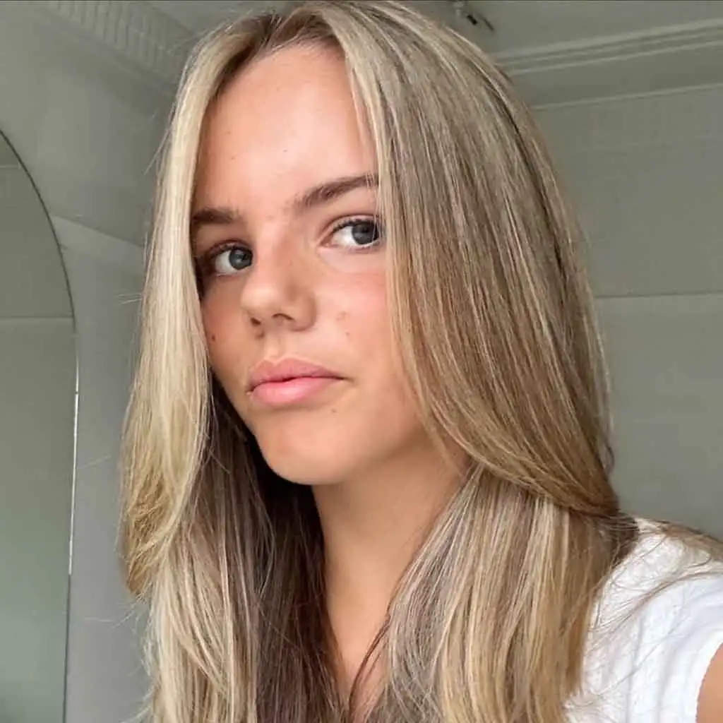 Brown Blonde Layers on Layered Medium Hair