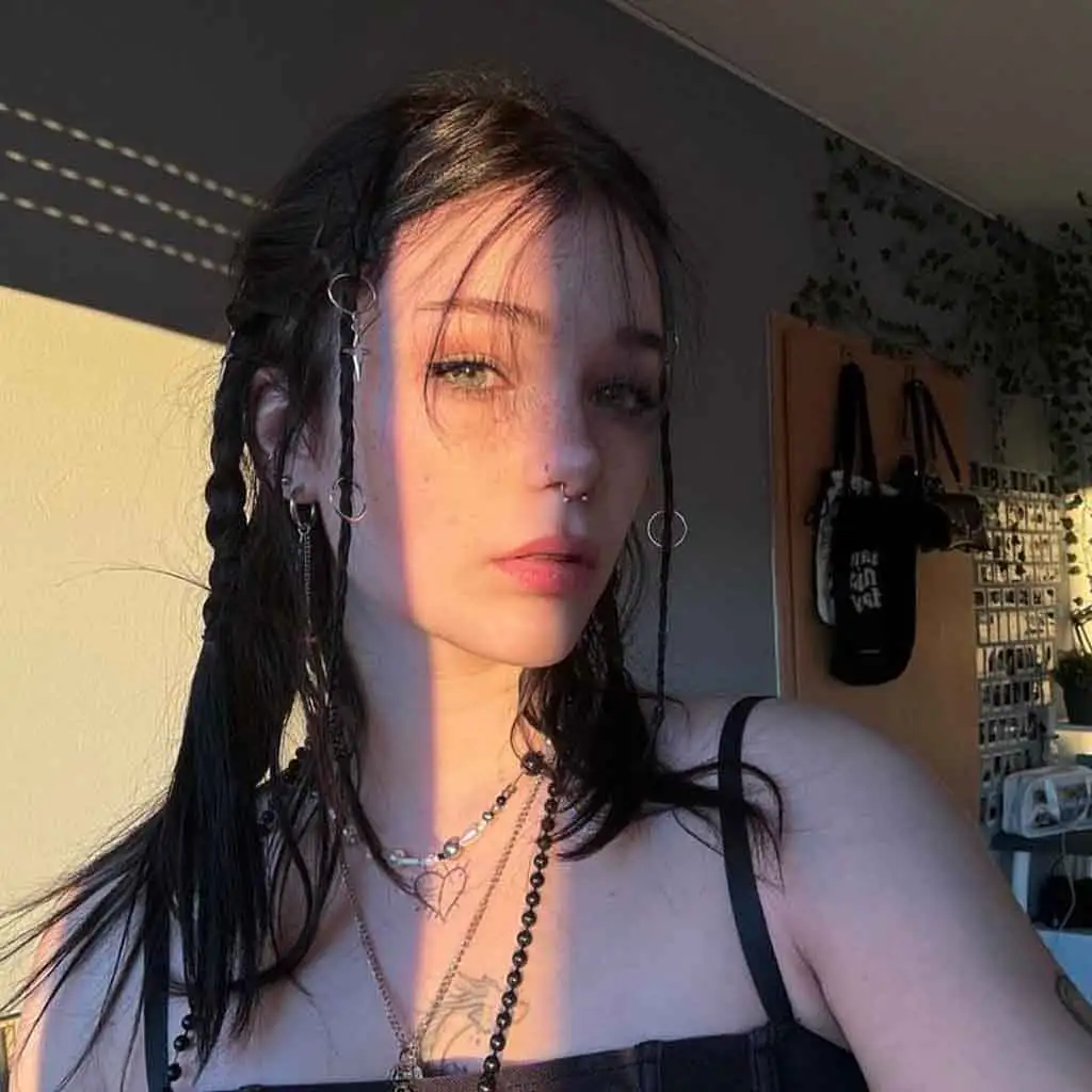 Center Parted Black Hair With Braids