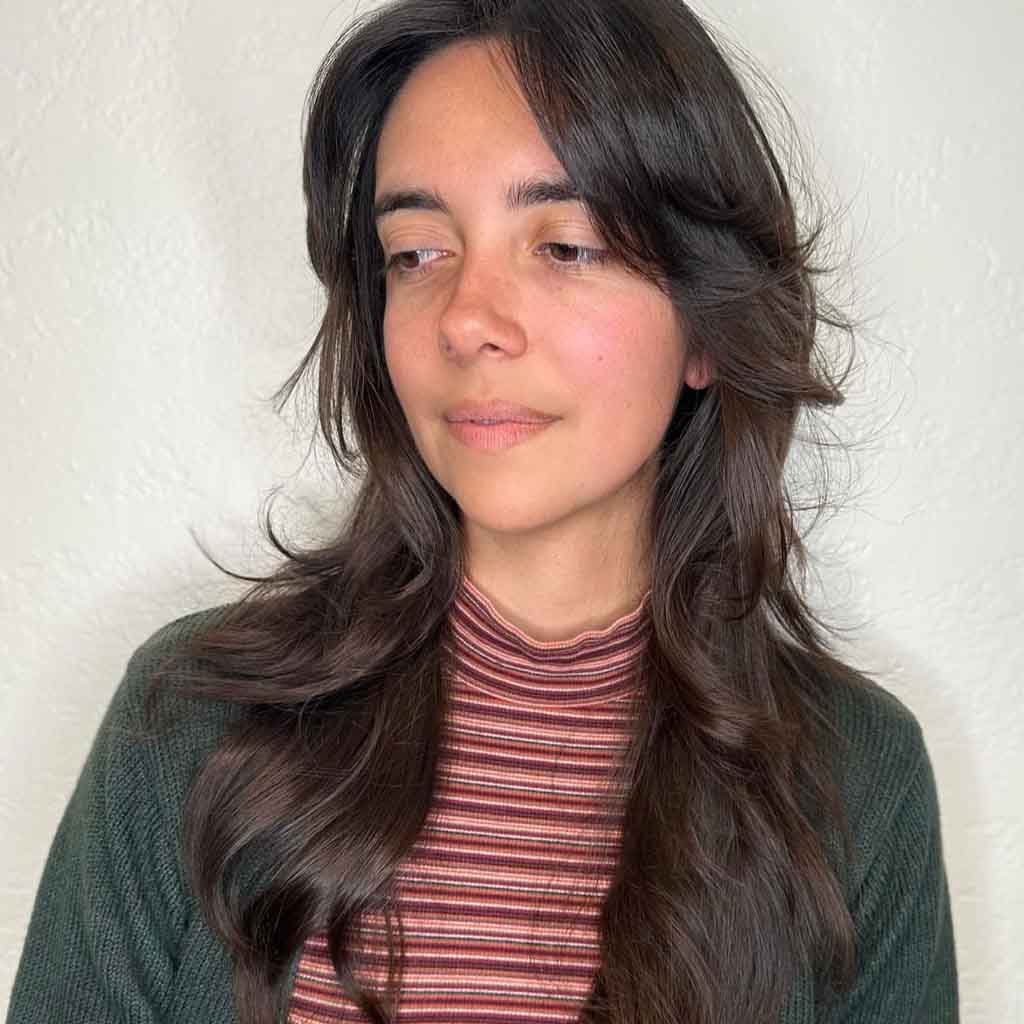 Dark Brown Butterfly Shag Cut