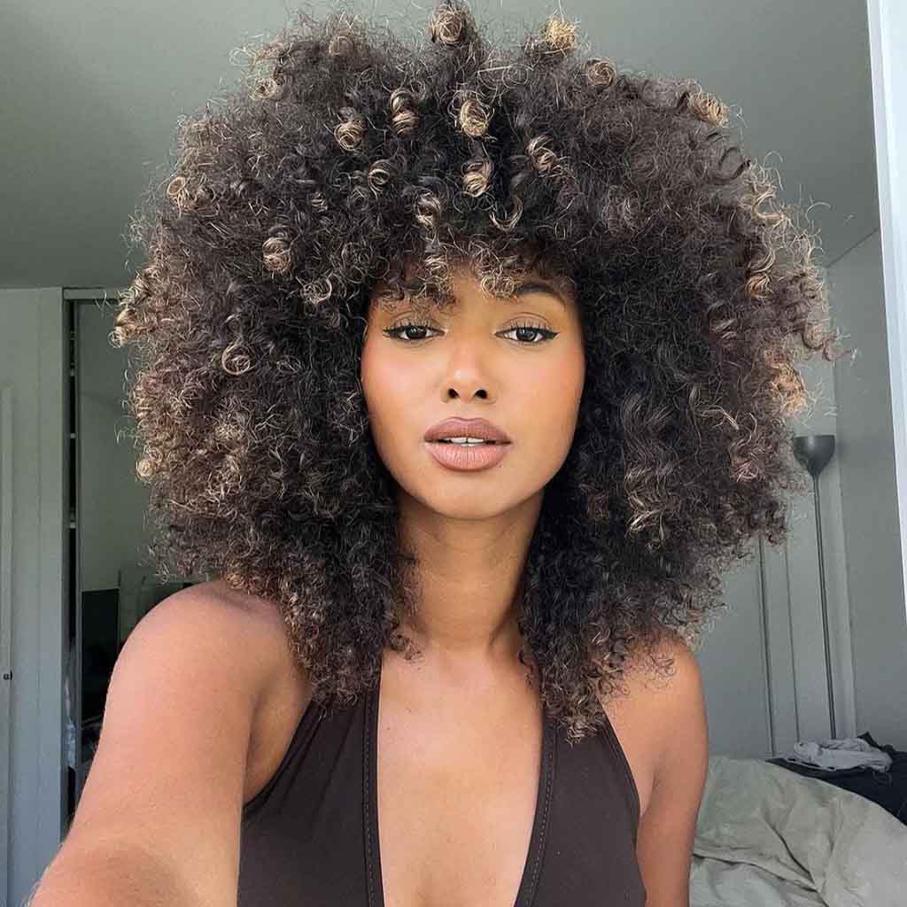 Black Afro Hair With Brown Highlights