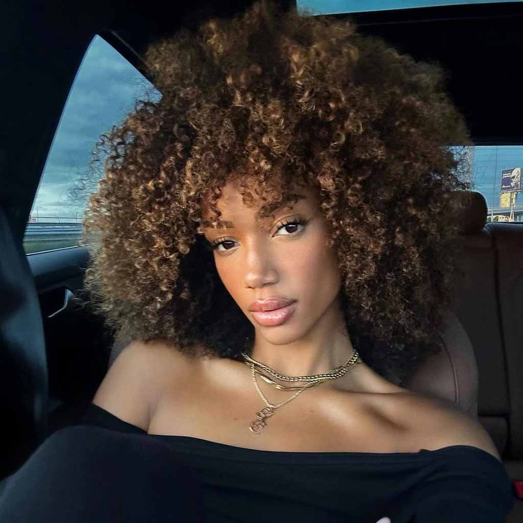Medium Afro Curls With Blonde Highlights