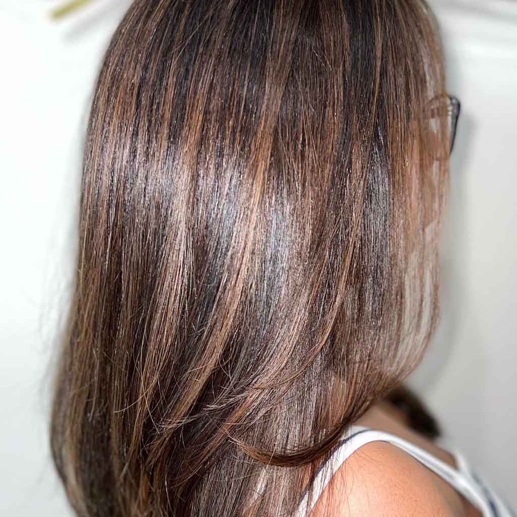 Mocha Caramel Highlights on Chocolate Brown Hair