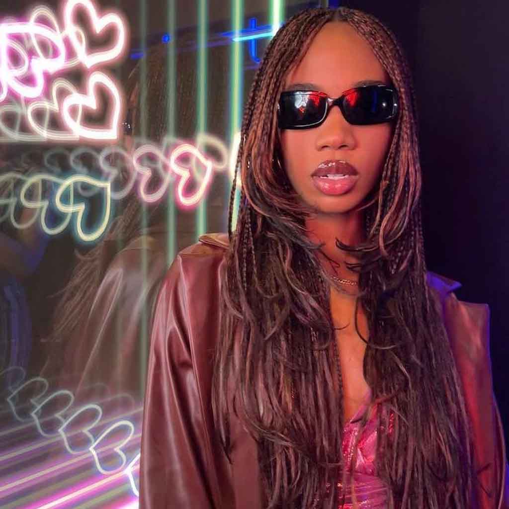 10. Long Cyberpunk Wolf Cut With Brownish Pink Braids and Face Layers