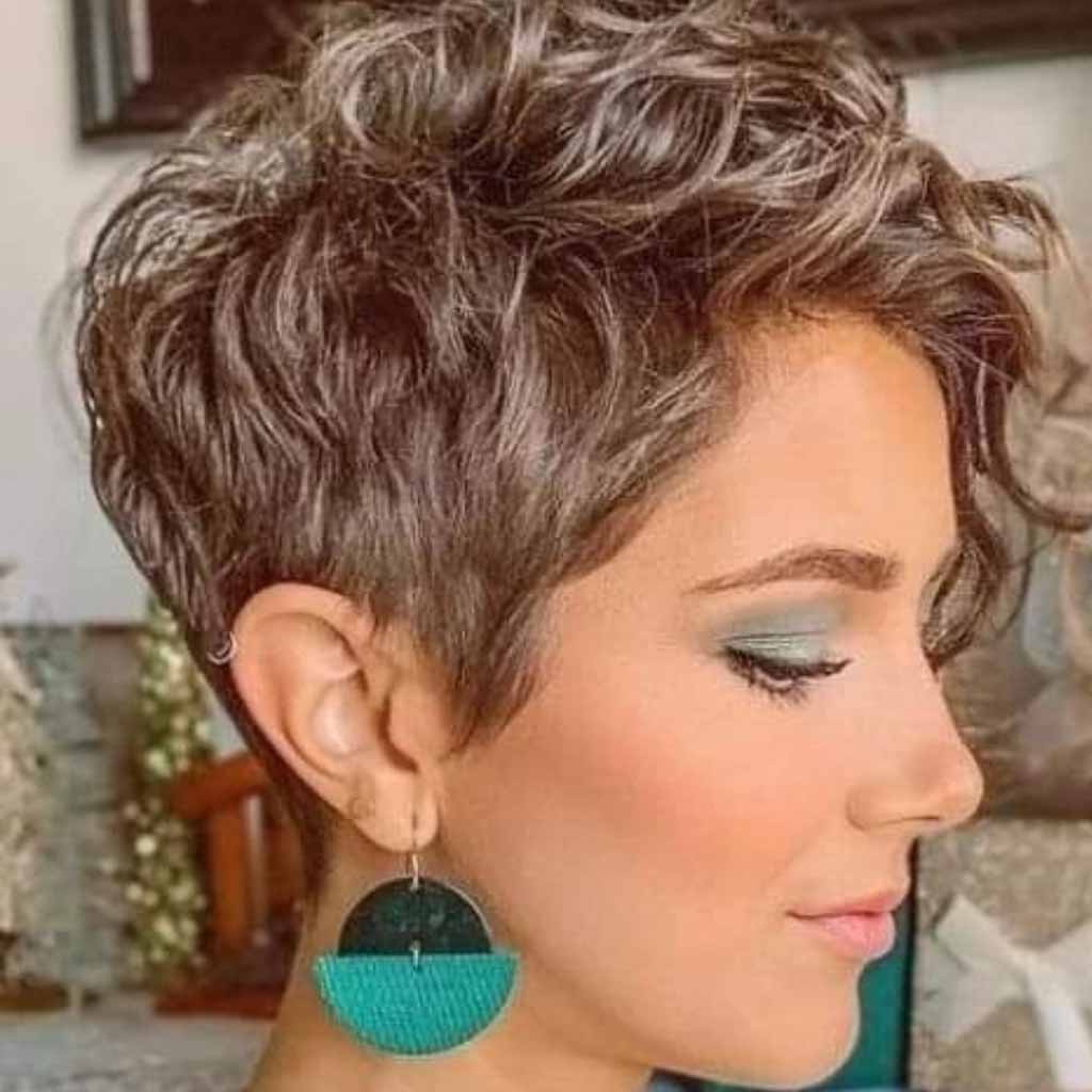 Curly Pixie Wolf Cut With Ash Highlights