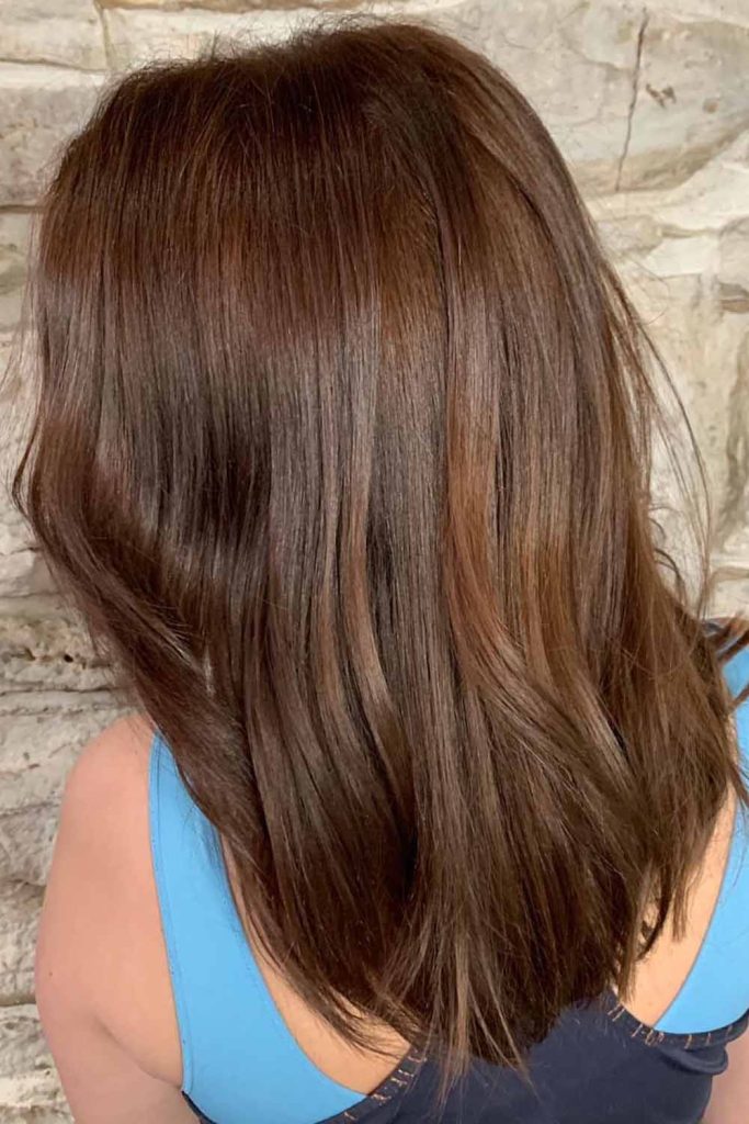Chestnut Balayage Medium Hair