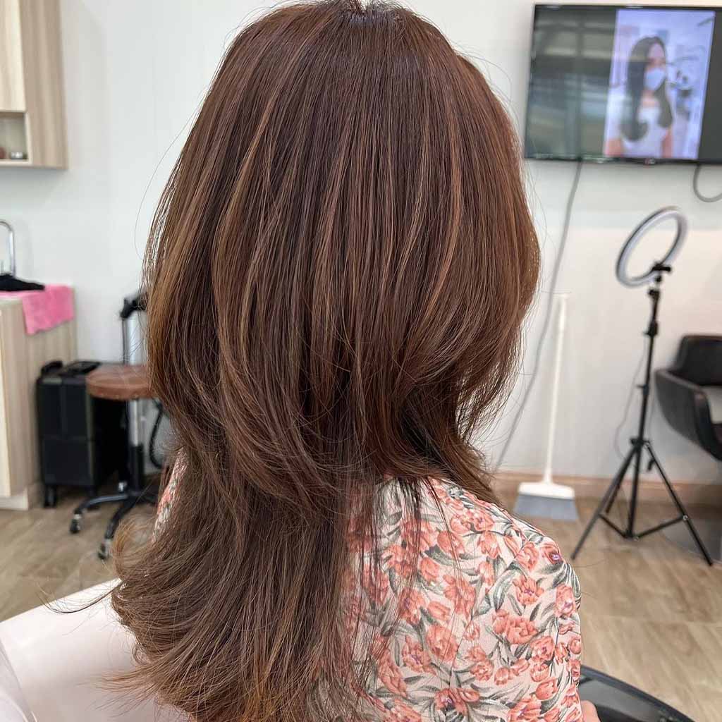 Medium Brown Jellyfish Wolf Cut